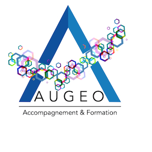 Logo de AUGEO REUNION